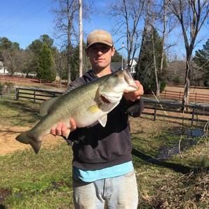 Meet your Posher, Buddy